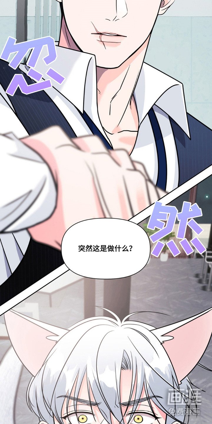 第6章：气味