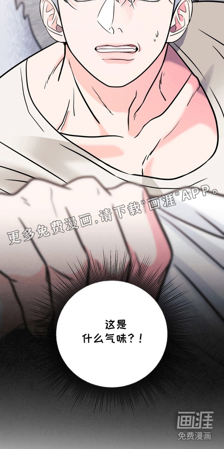 第6章：气味
