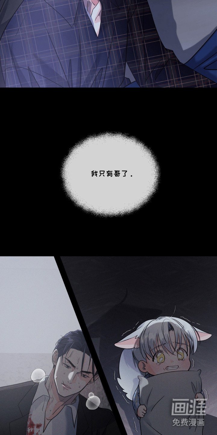 第6章：气味