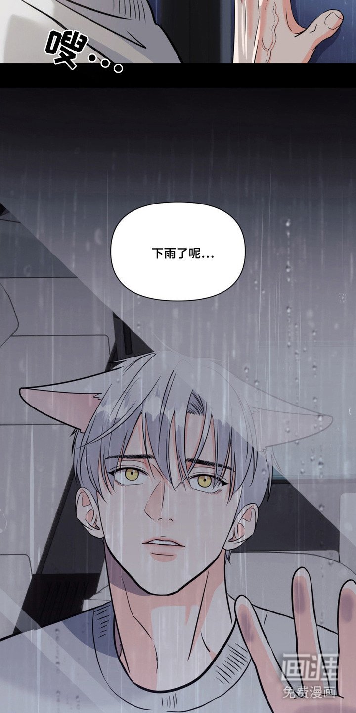 第8章： 胡思乱想