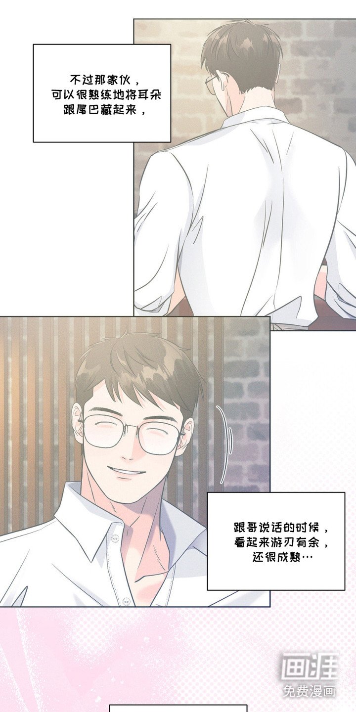 第8章： 胡思乱想