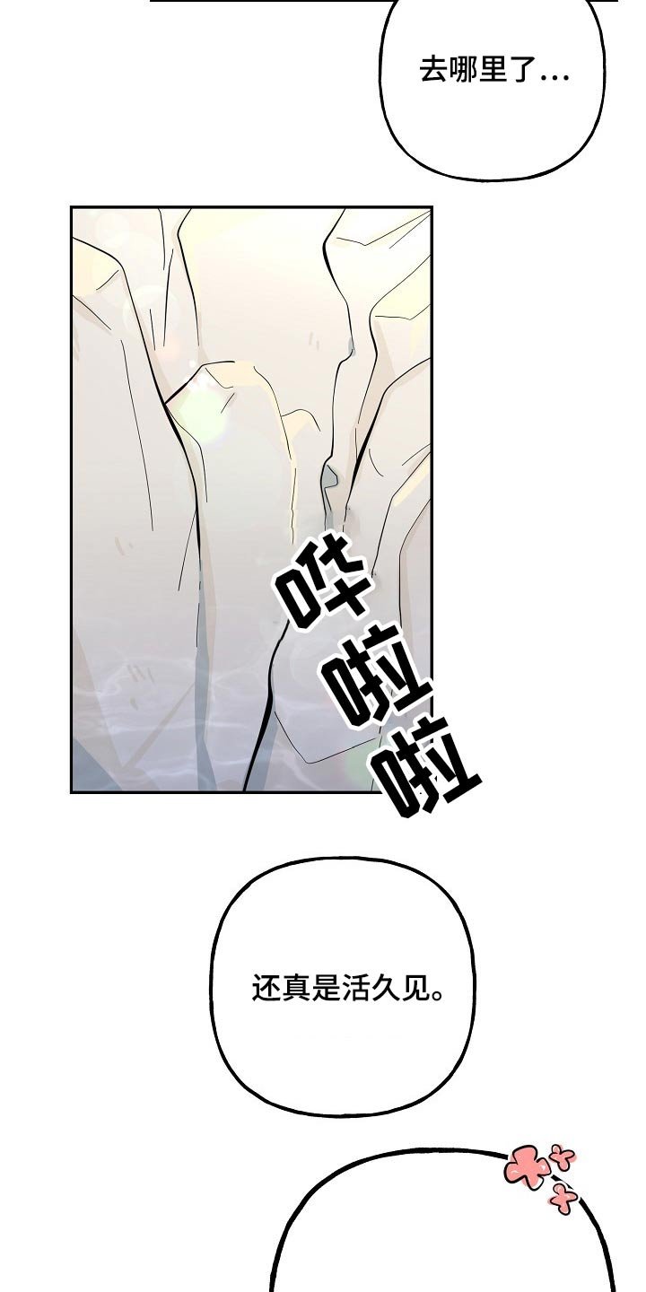 第34章：芳心