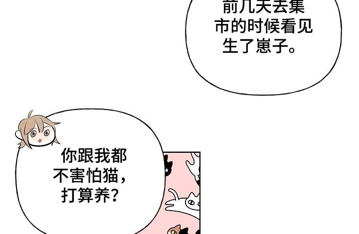 第37章：拜托