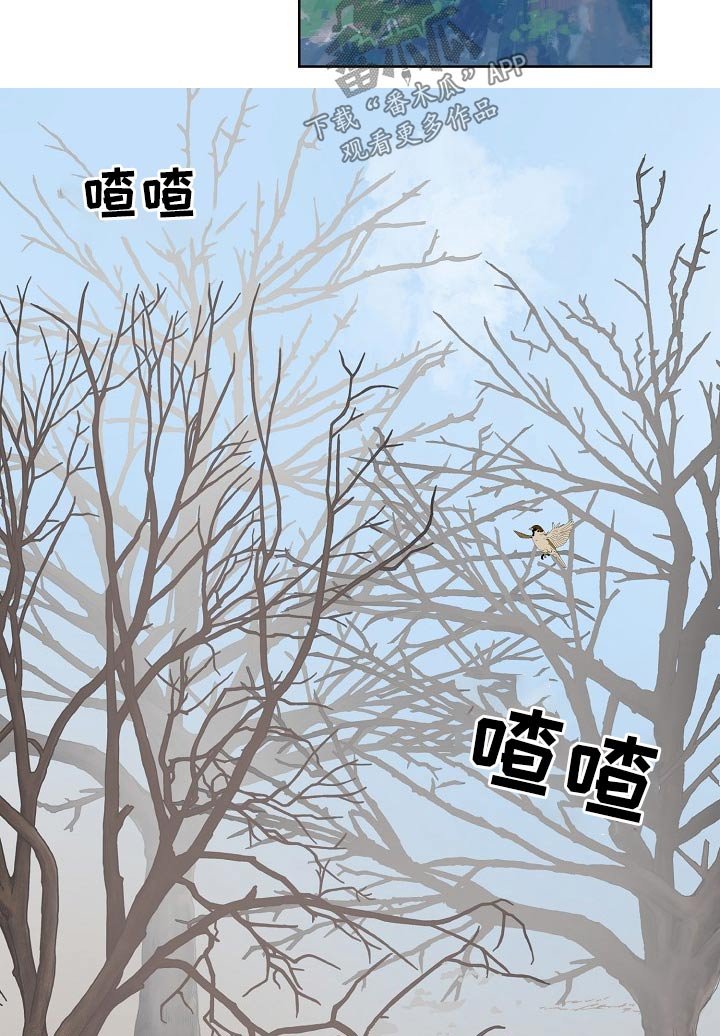 第39章：意外