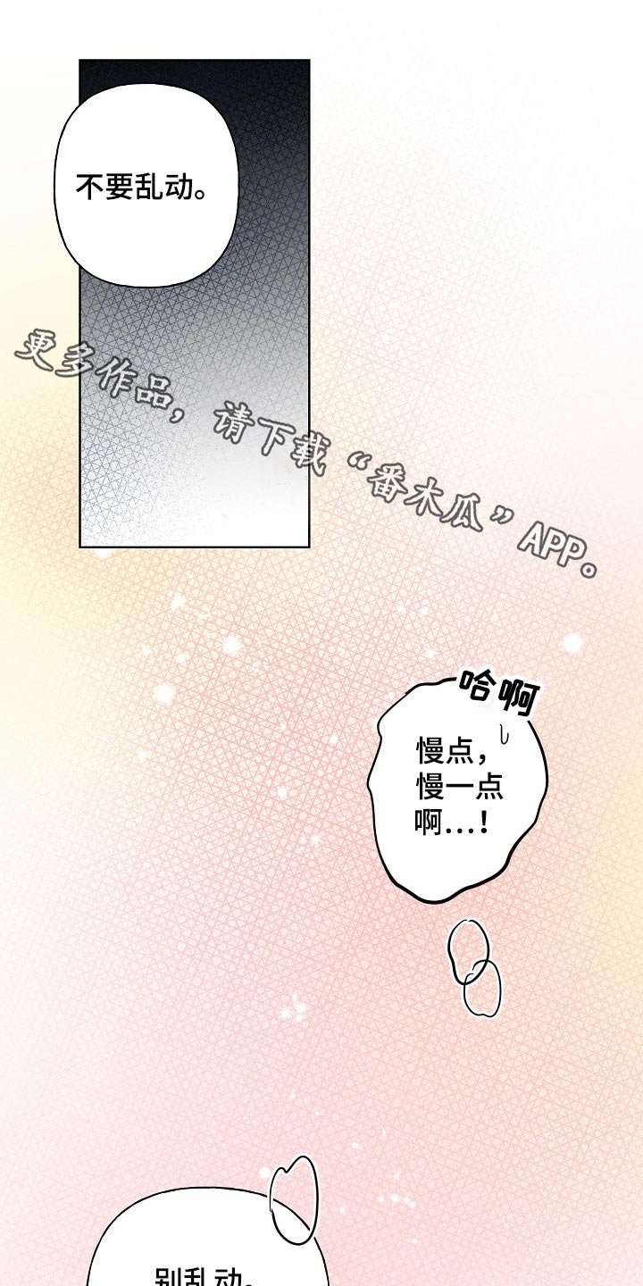 第40章：执着