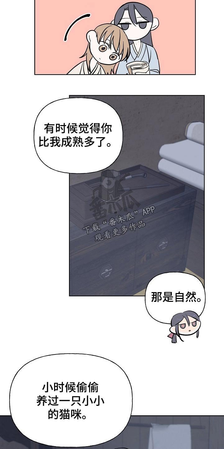 第45章：猫咪