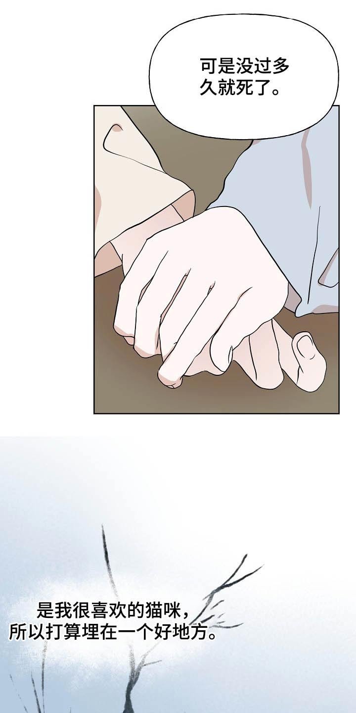 第45章：猫咪