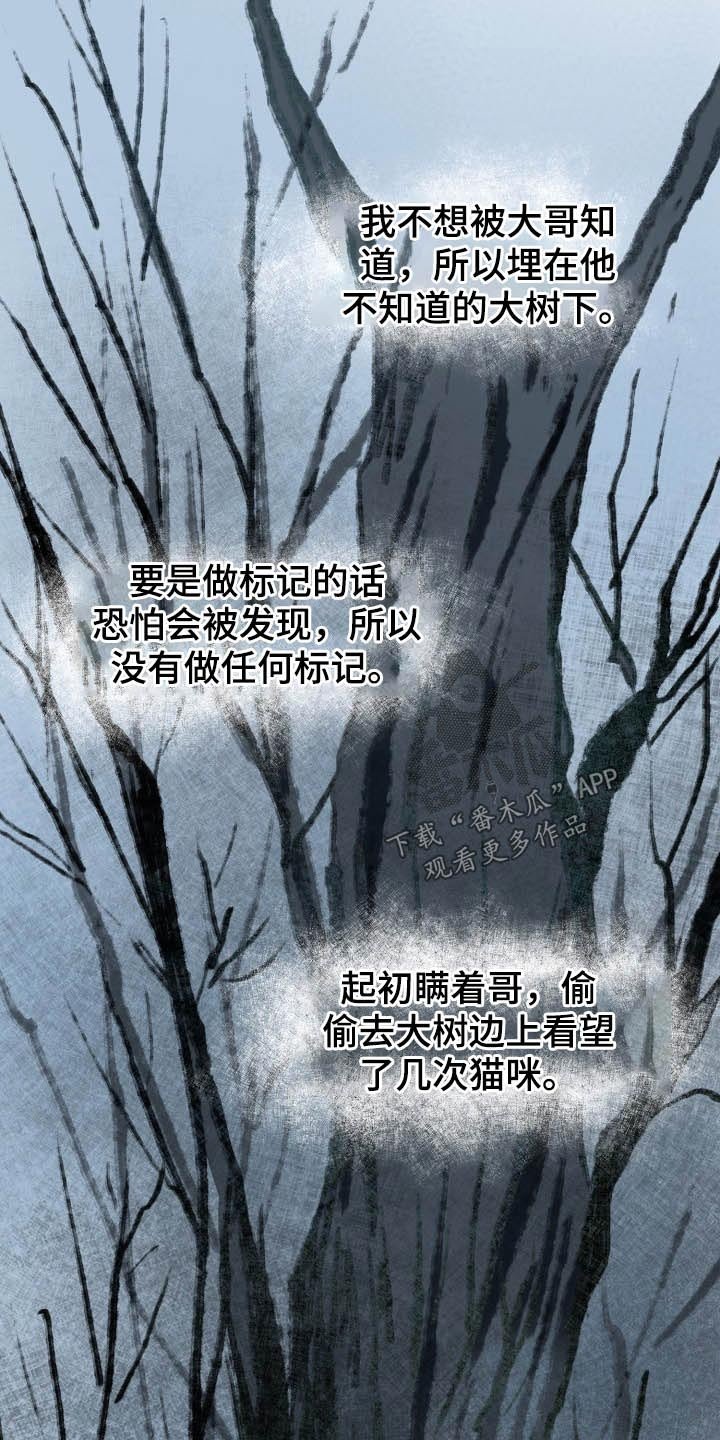 第45章：猫咪