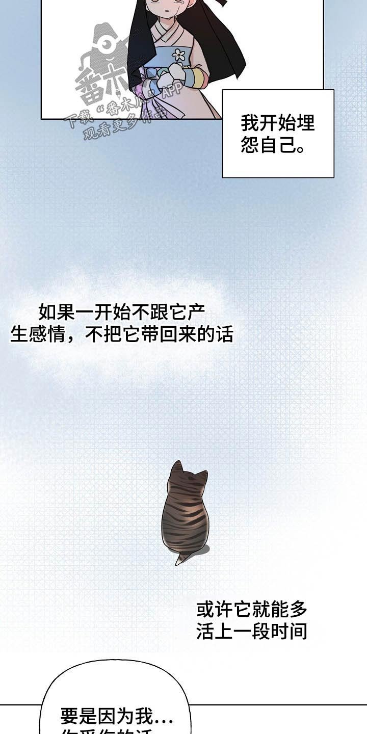 第45章：猫咪