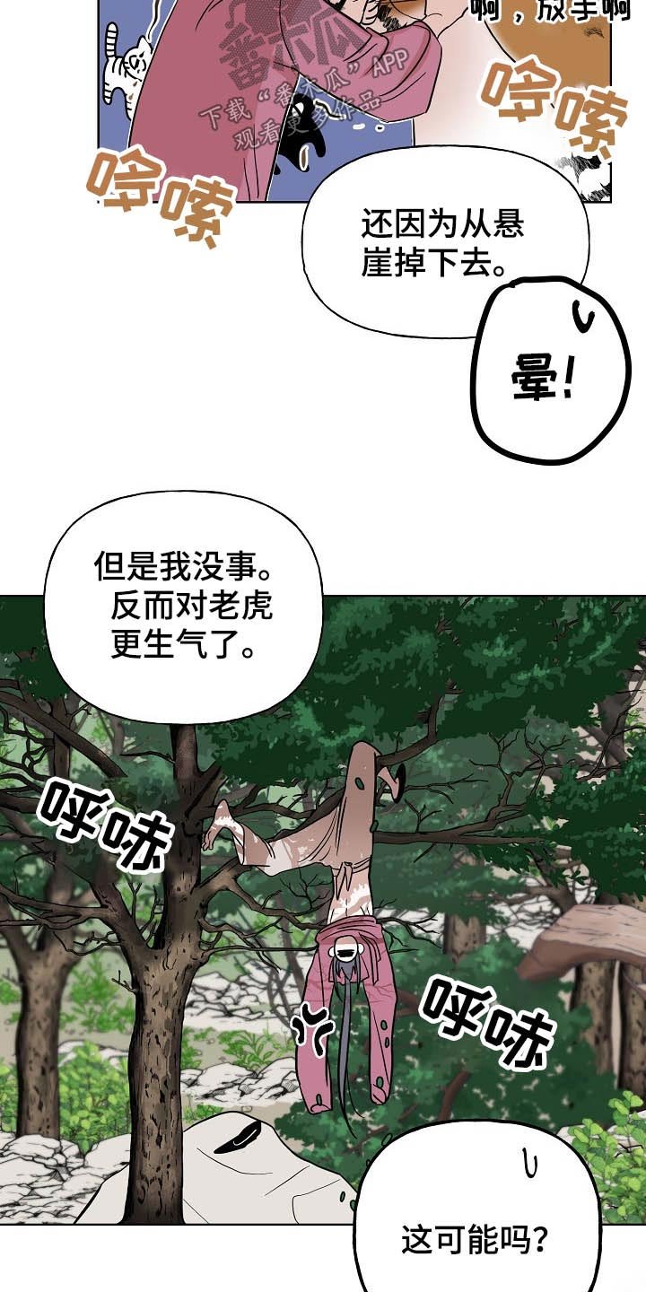 第45章：猫咪