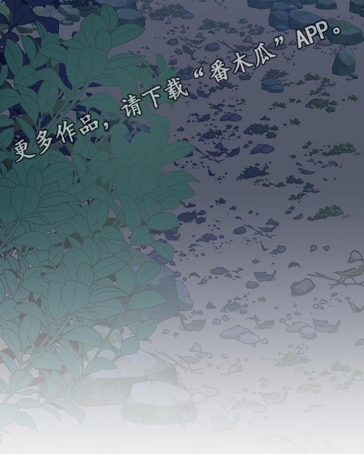 第55章：容颜