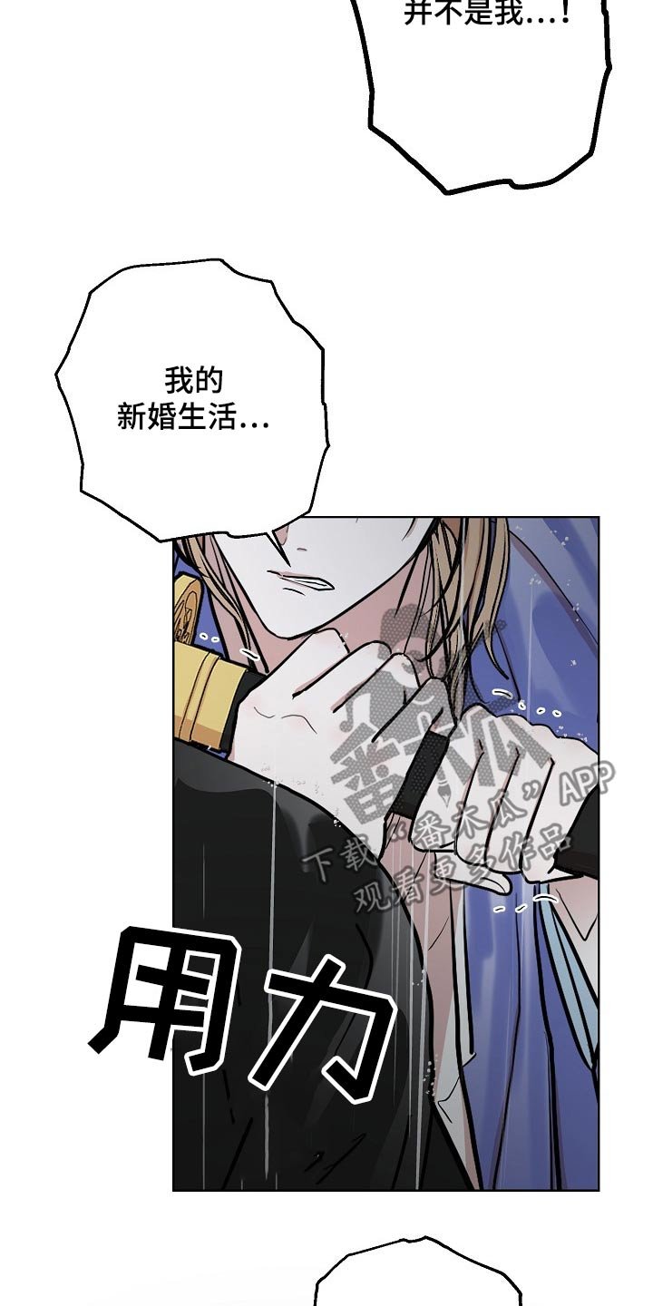 第61章：老虎
