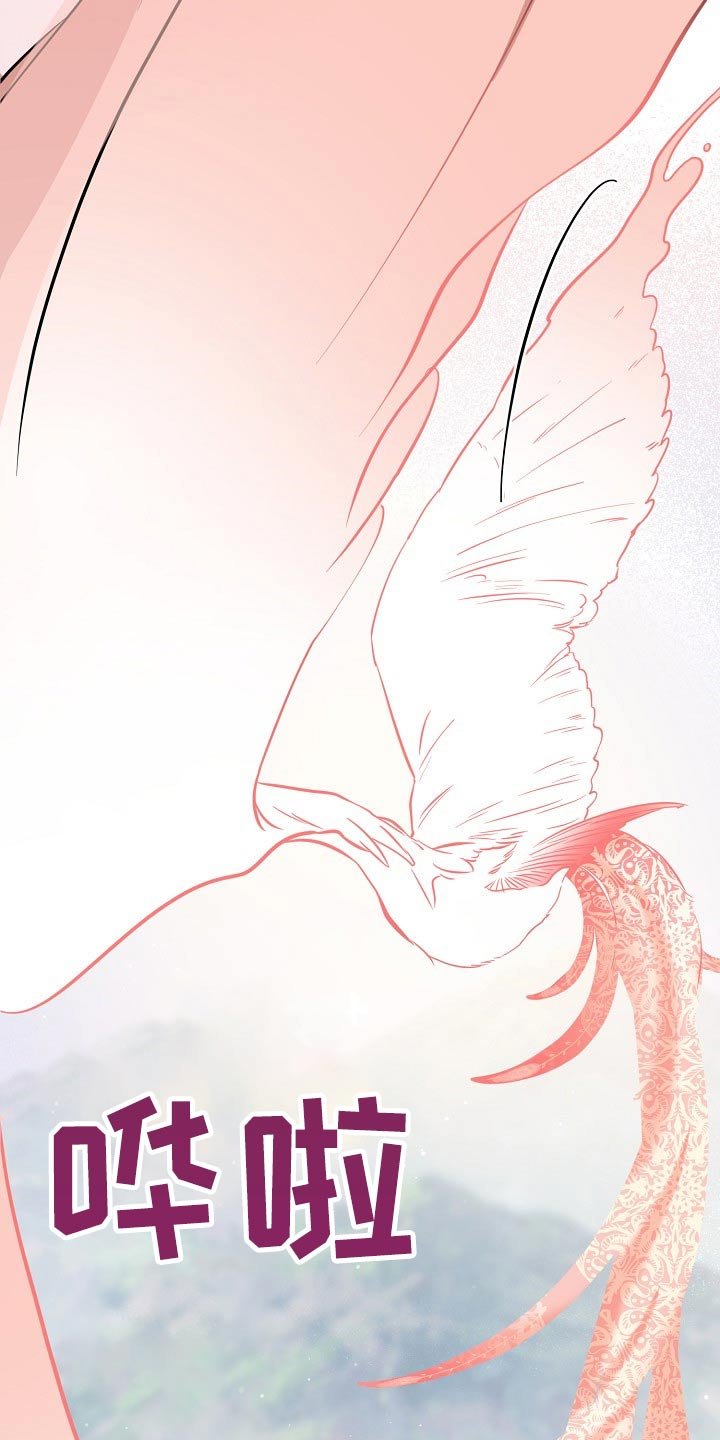 第65章：分别