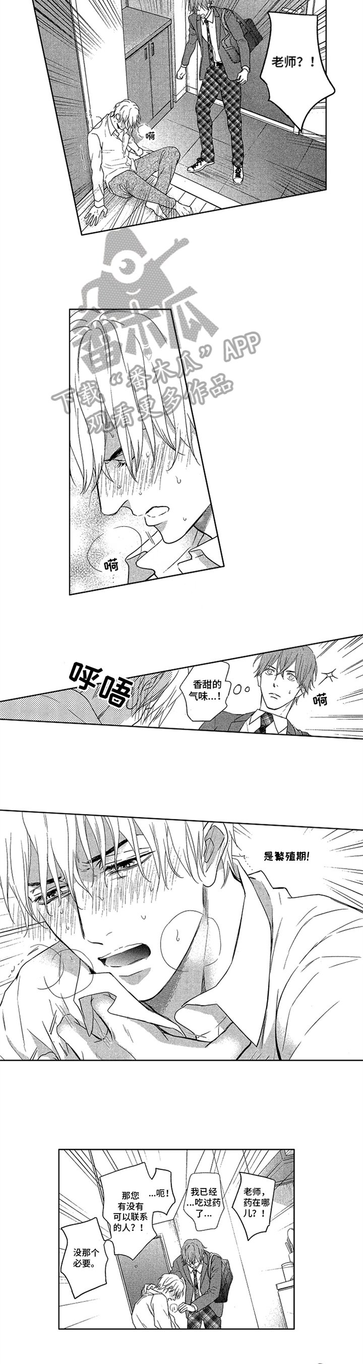 第19章：发作