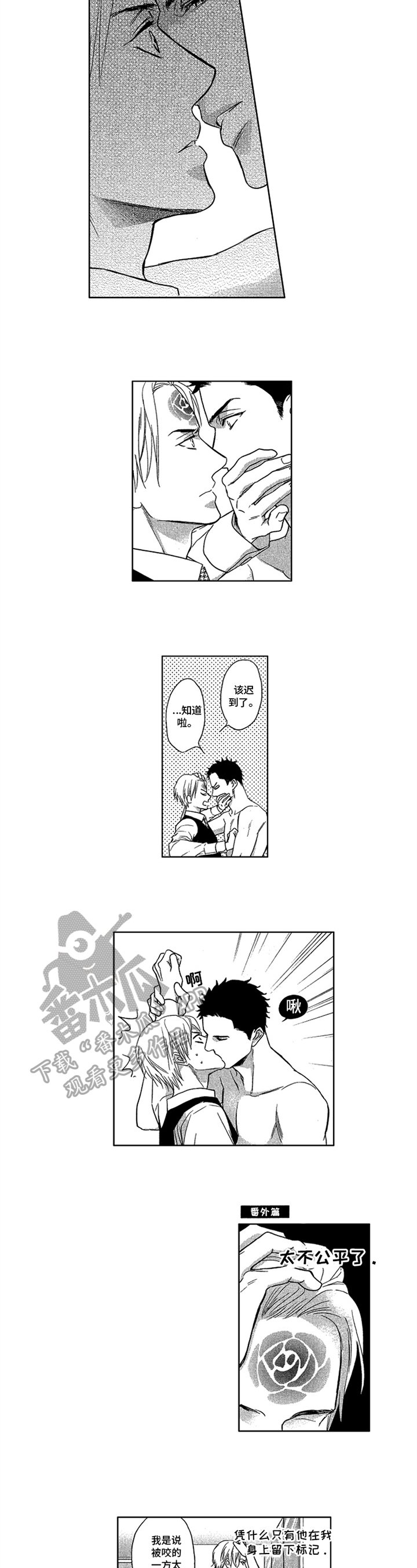第24章：专属标记【完结】