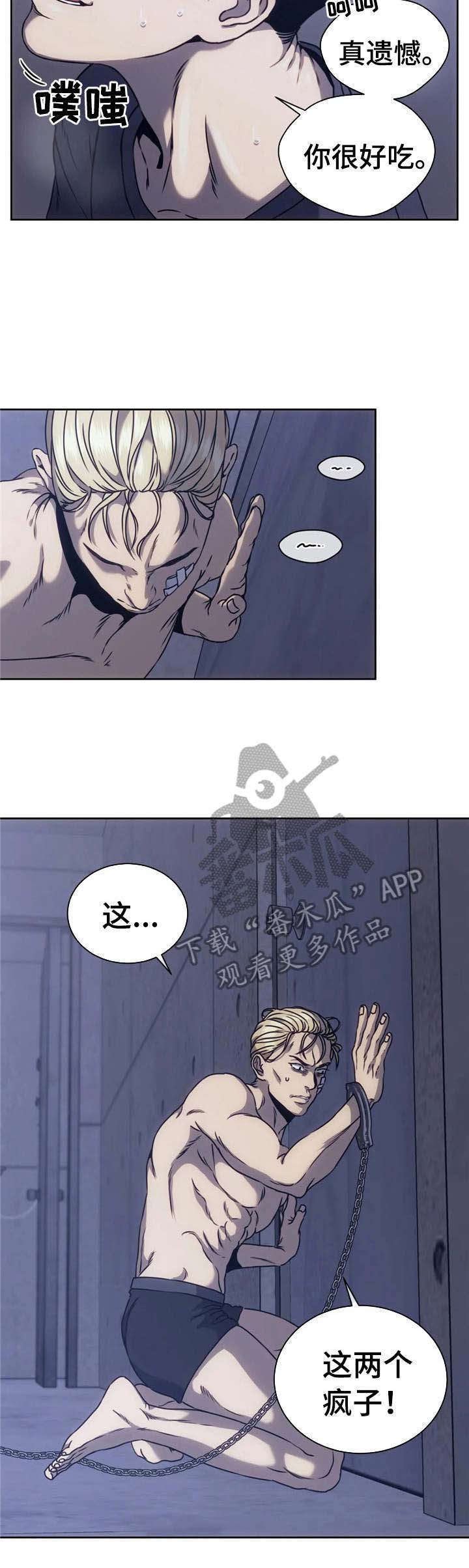第14章： 疯子