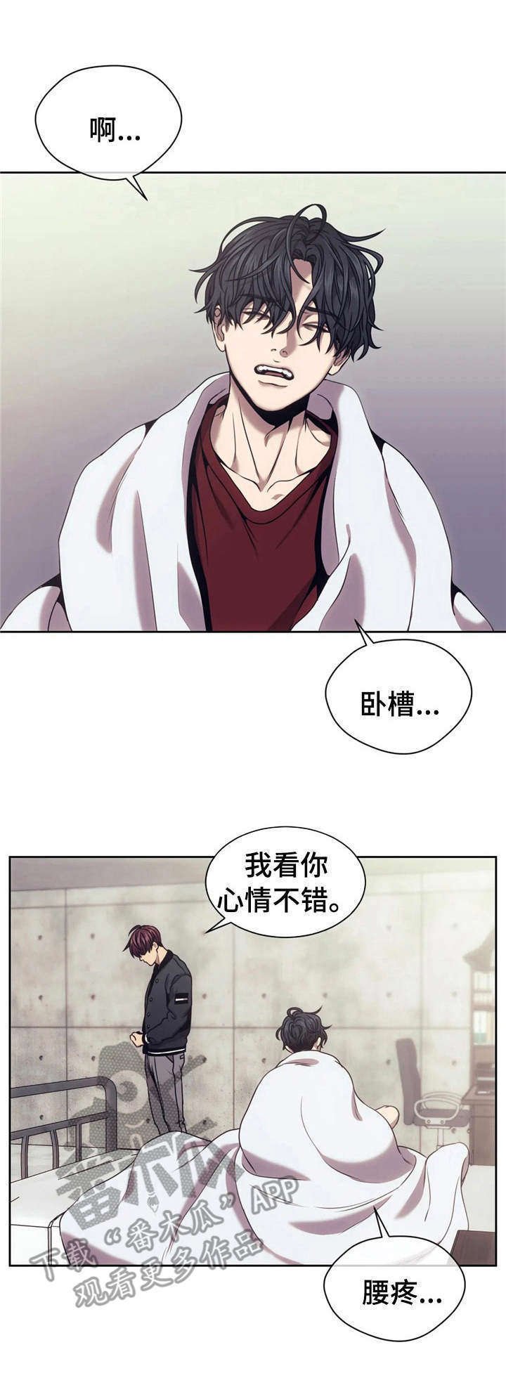 第29章：照片