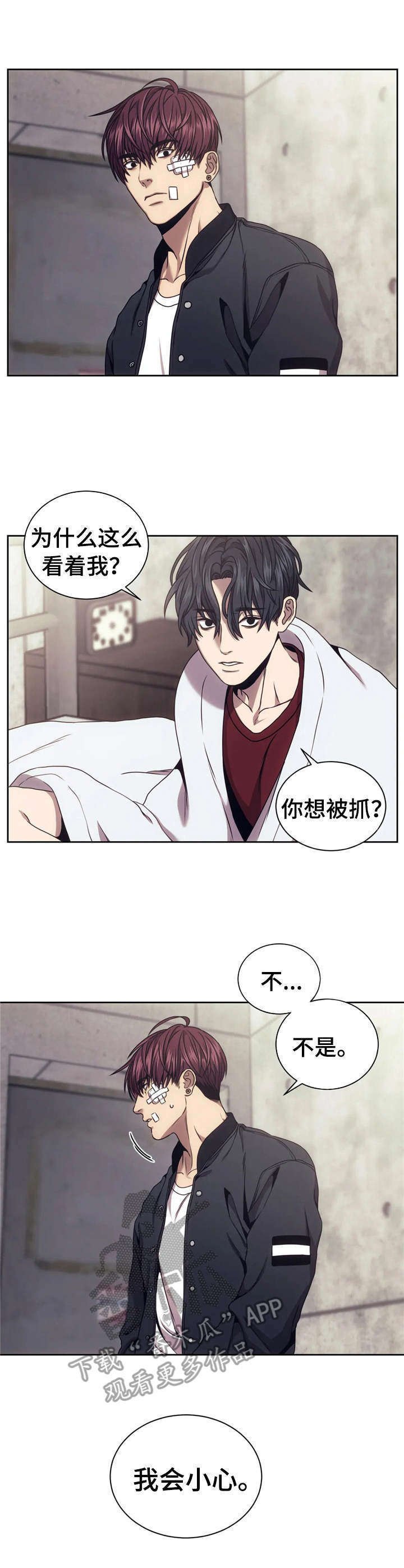 第29章：照片