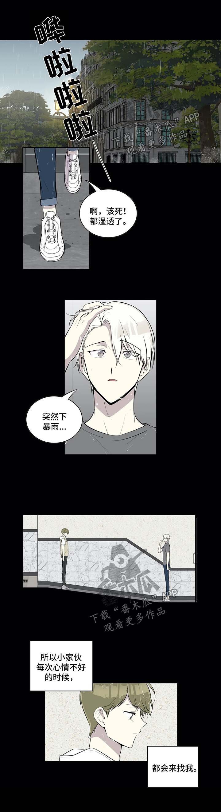 第78章：很傻的小家伙