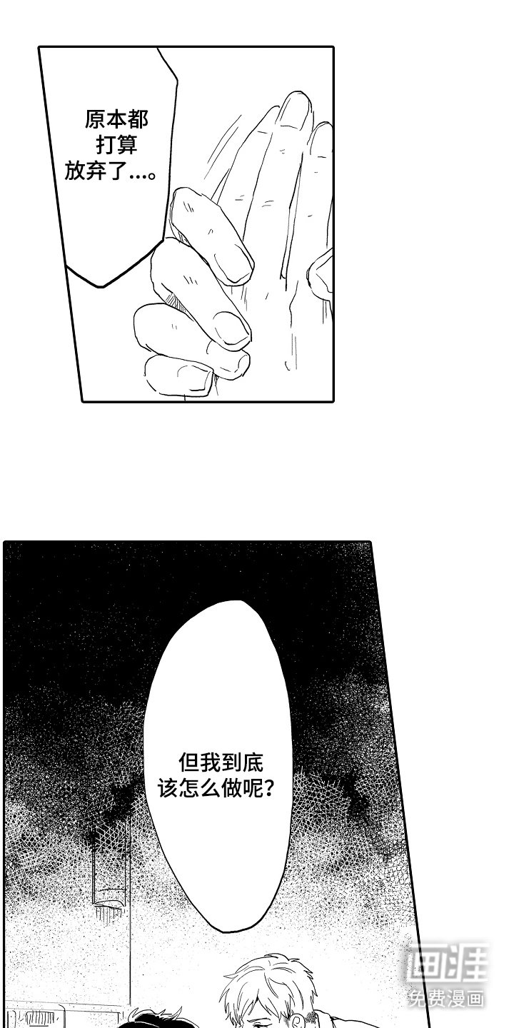 第11章：你的真心