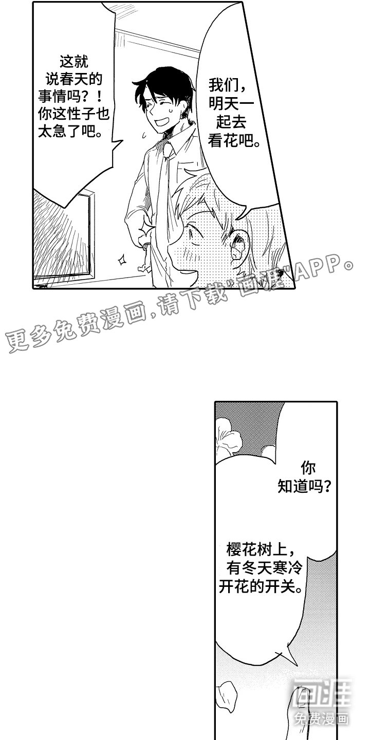 第13章：开满樱花