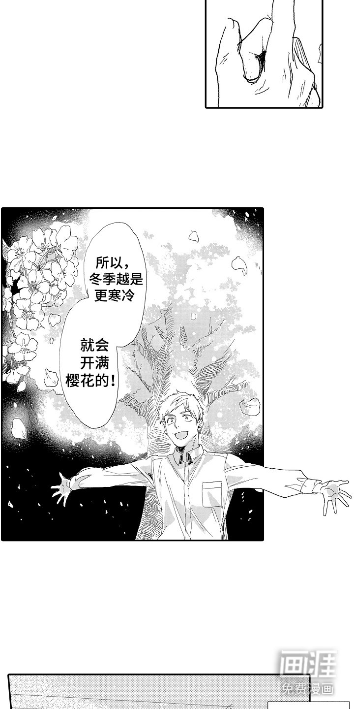 第13章：开满樱花