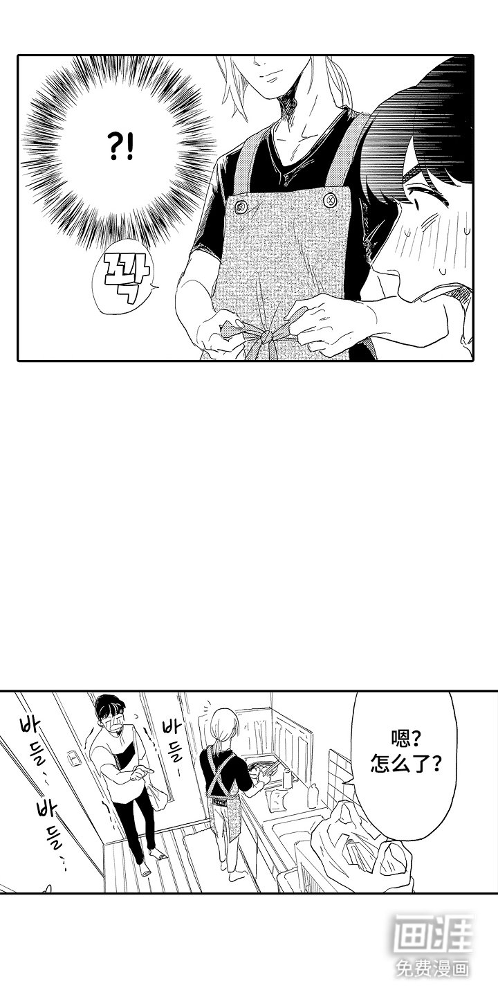 第19章：真的成功了吗