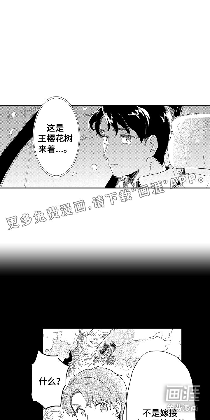 第8章：毕竟特别