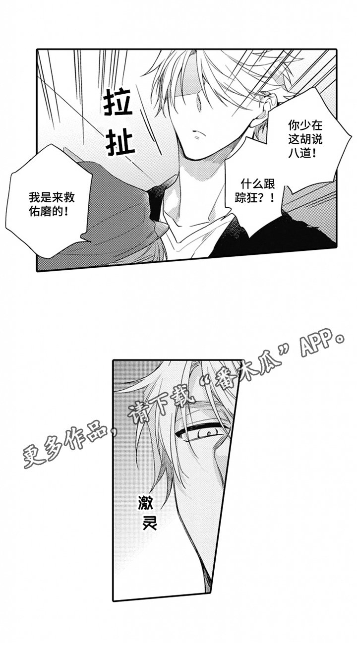 第19章：发现