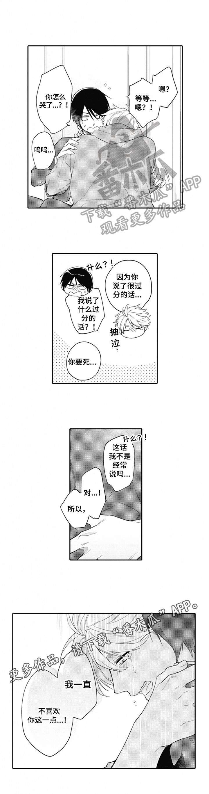 第4章：过分的话