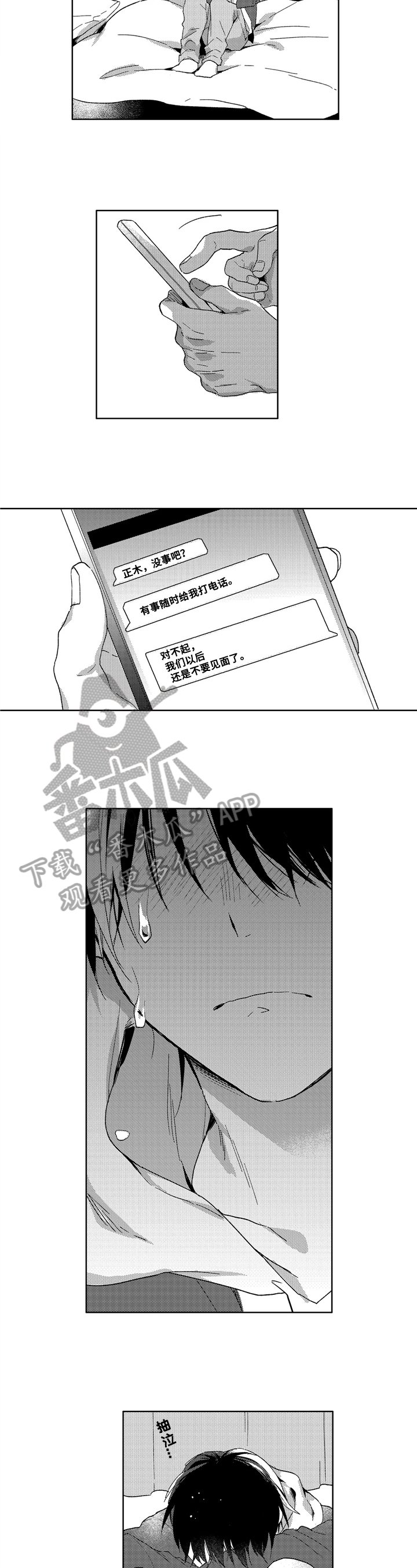 第15章：关注