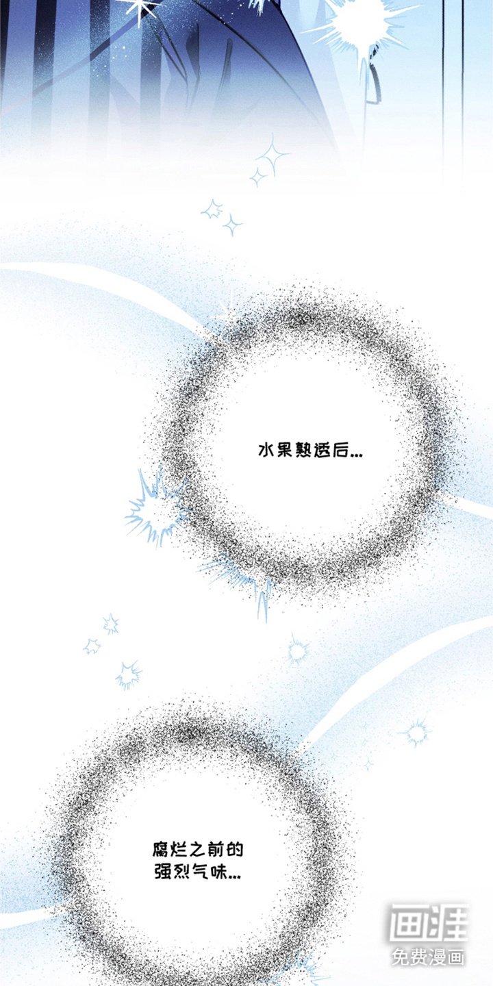 第12章：气味