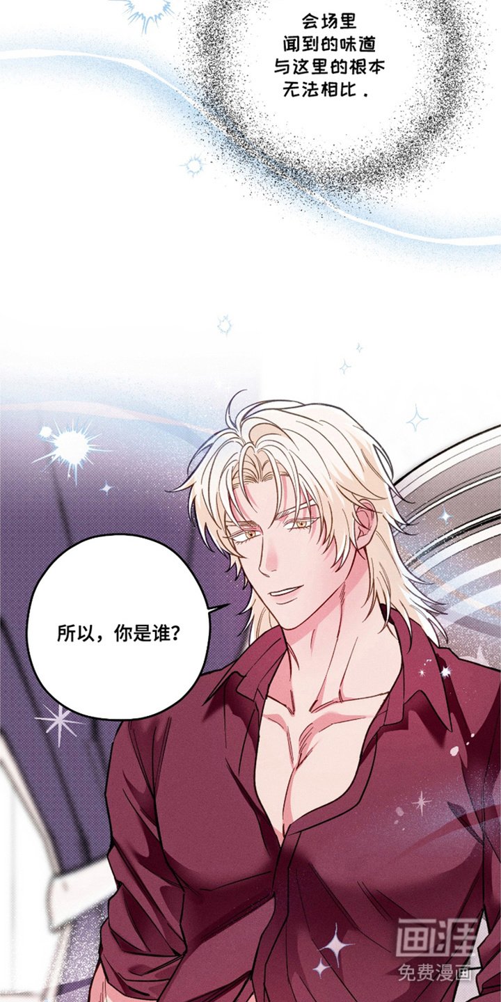 第13章： 极优阿尔法