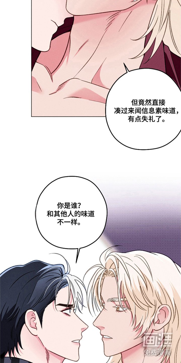 第13章： 极优阿尔法
