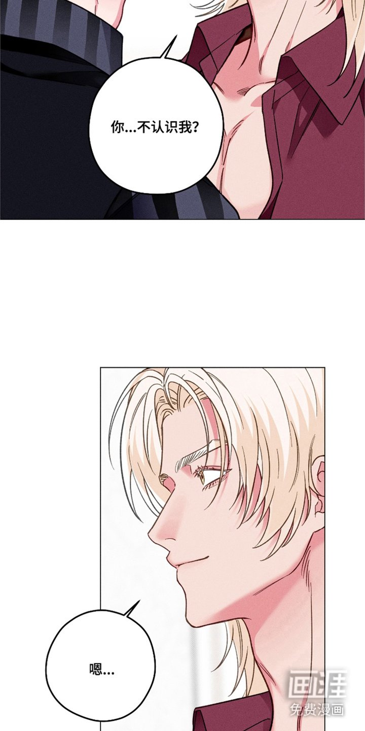 第13章： 极优阿尔法