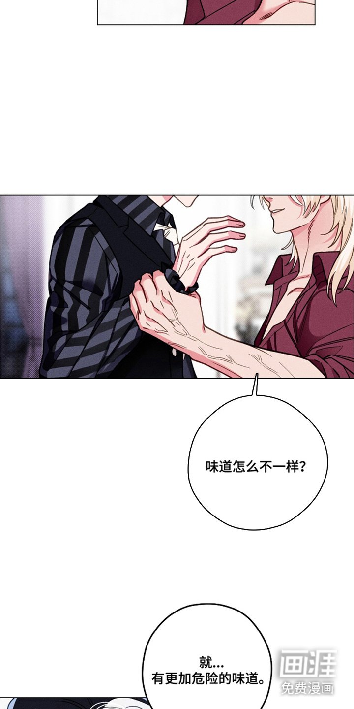 第13章： 极优阿尔法
