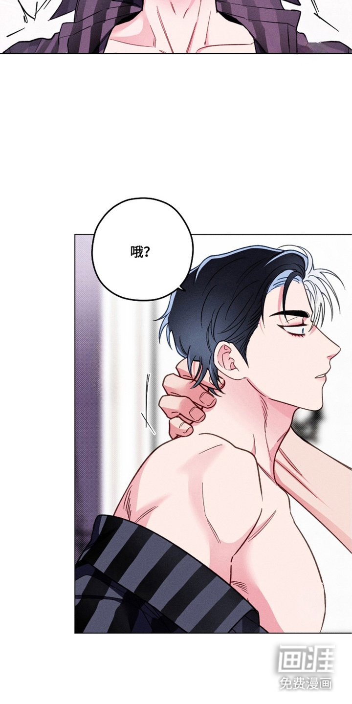 第13章： 极优阿尔法