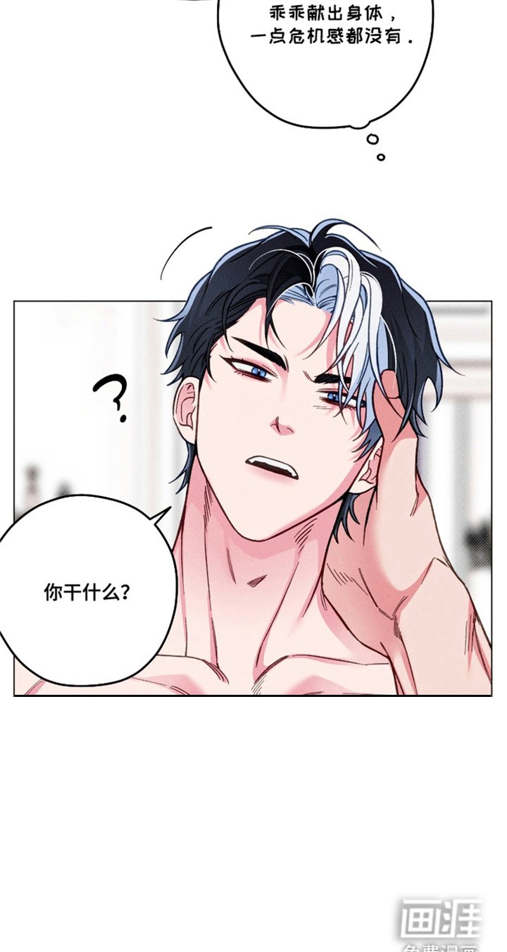 第13章： 极优阿尔法