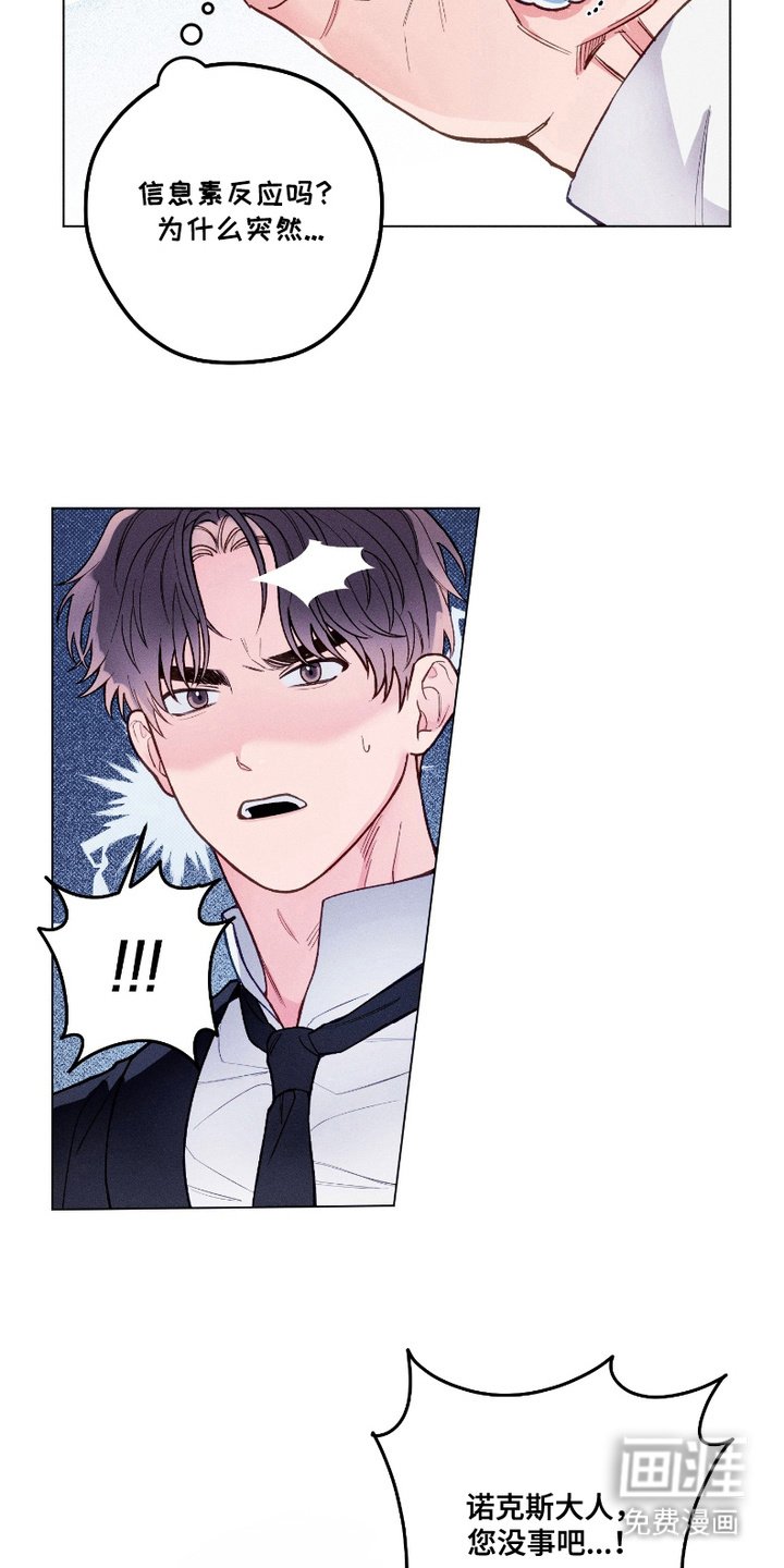 第5章：身体检查