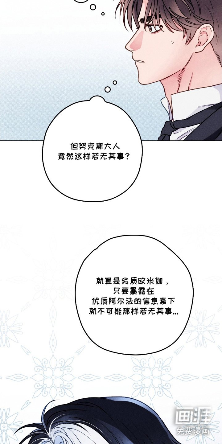 第5章：身体检查