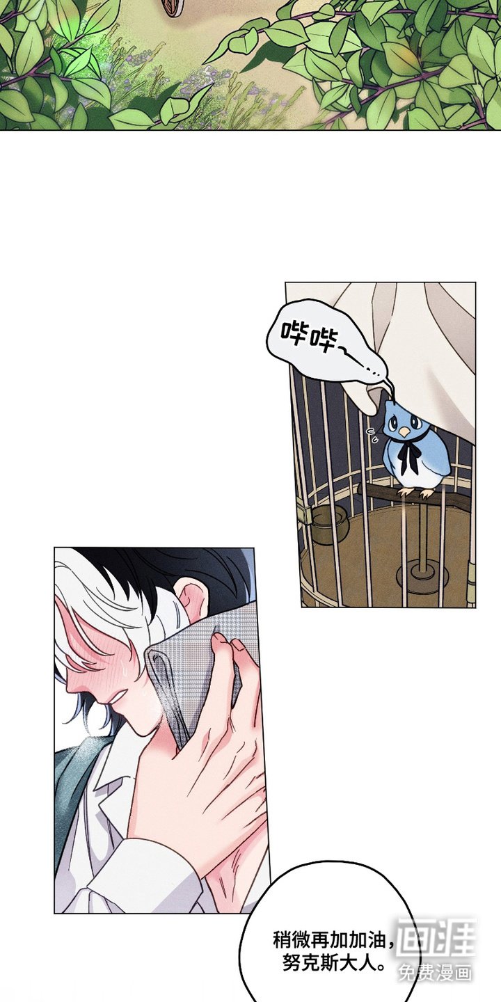 第5章：身体检查