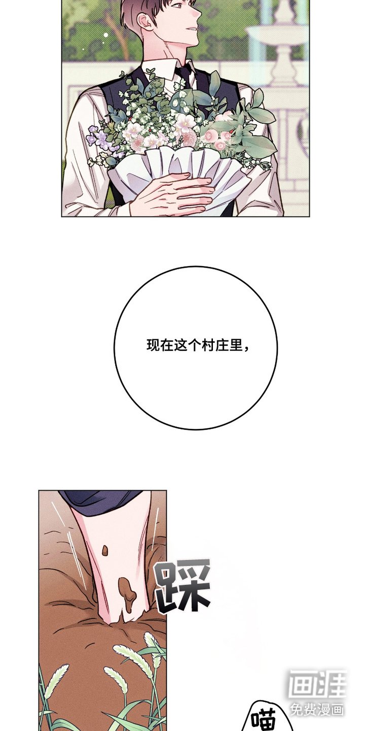 第7章：十分健康