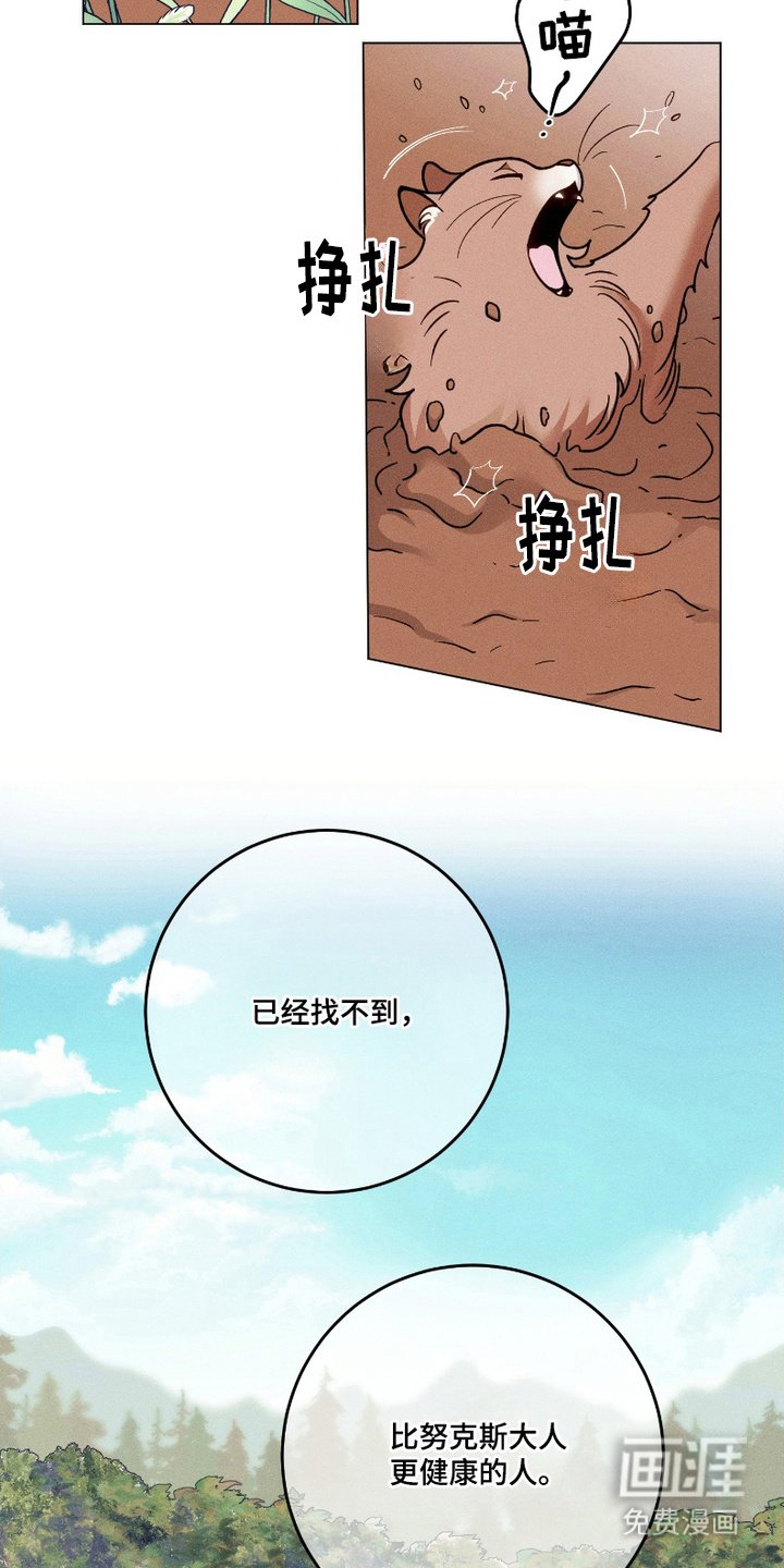 第7章：十分健康