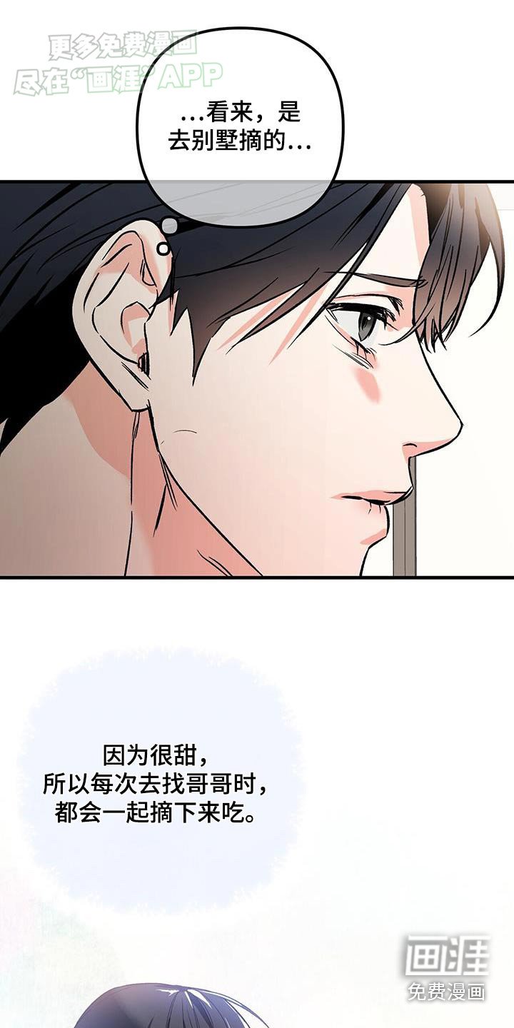 第130章：怀孕