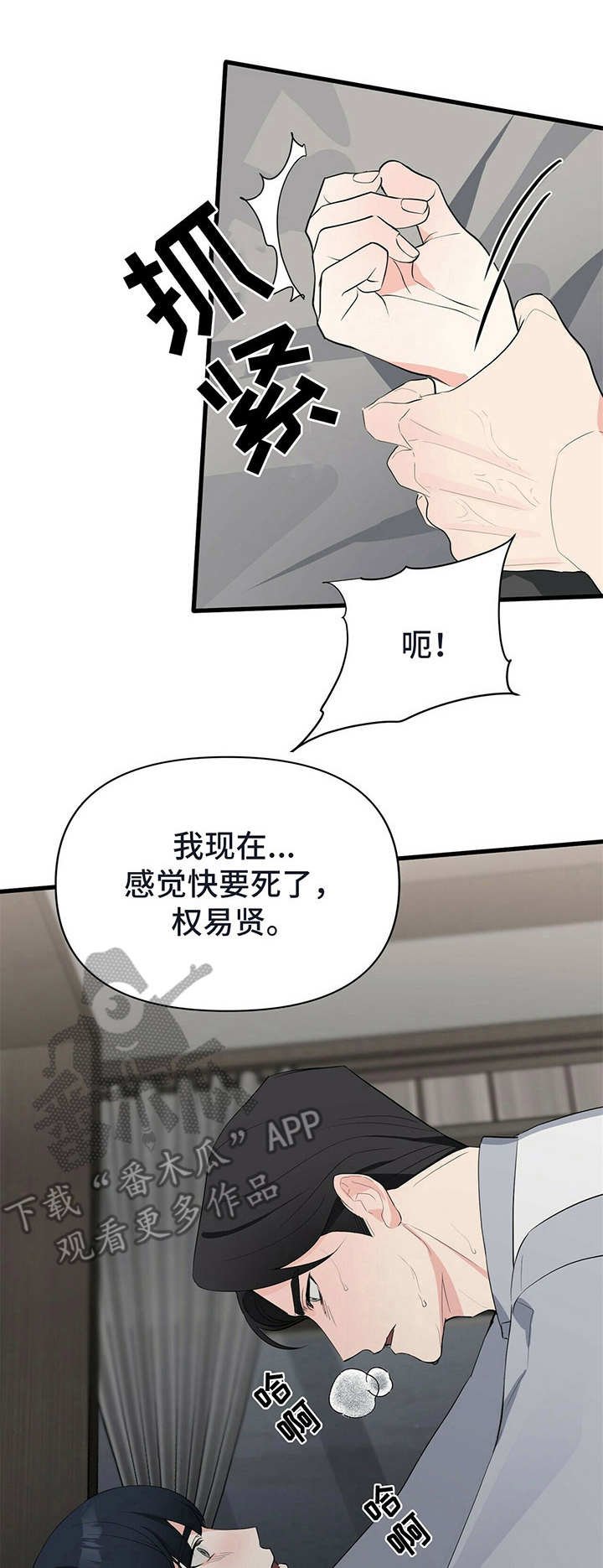 第14章：促进剂