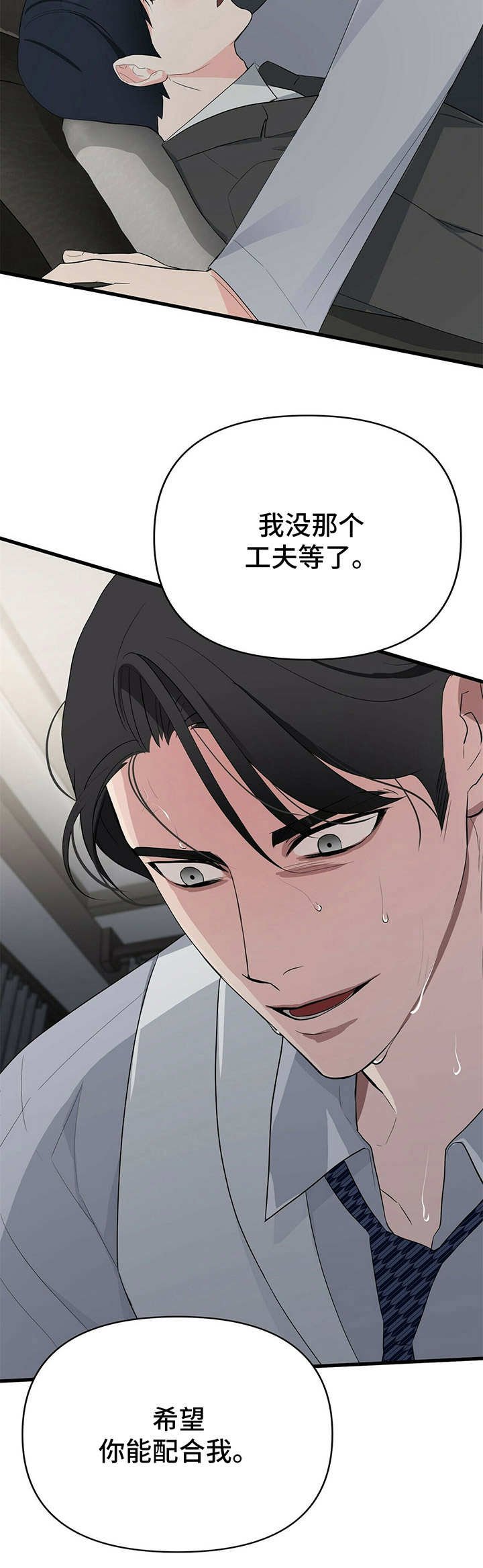 第14章：促进剂