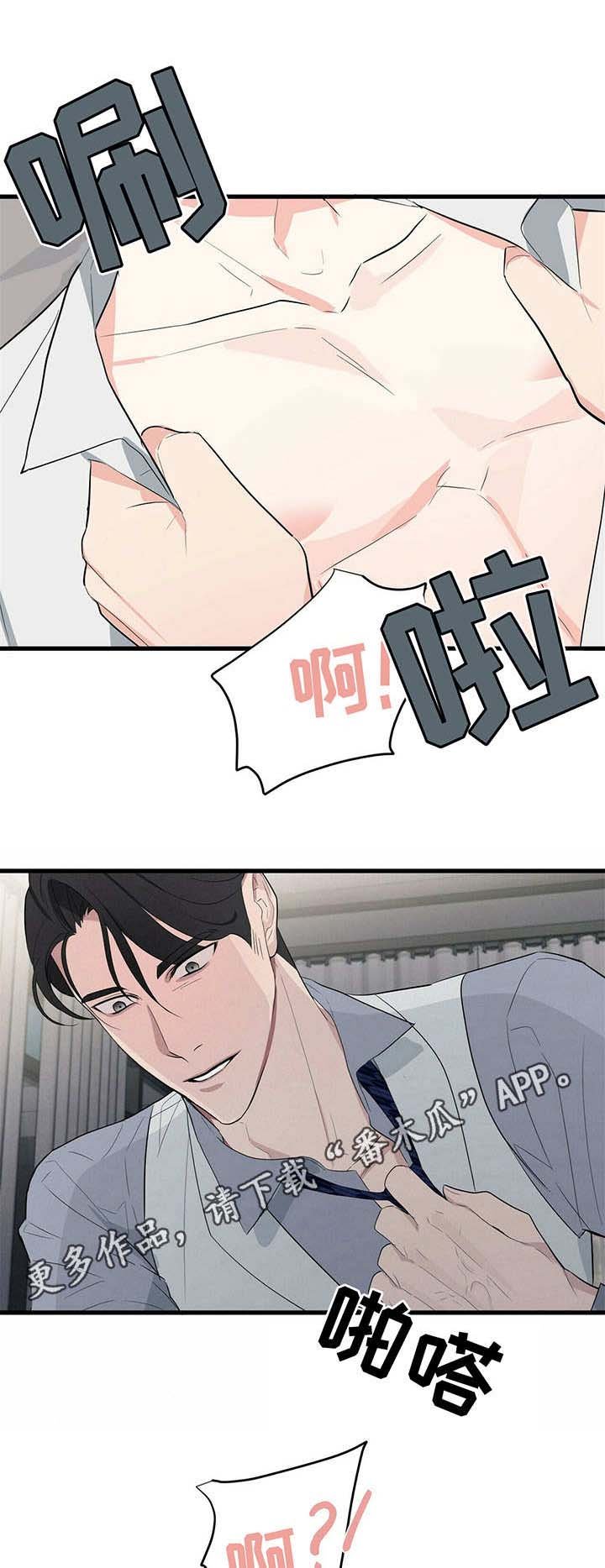 第14章：促进剂