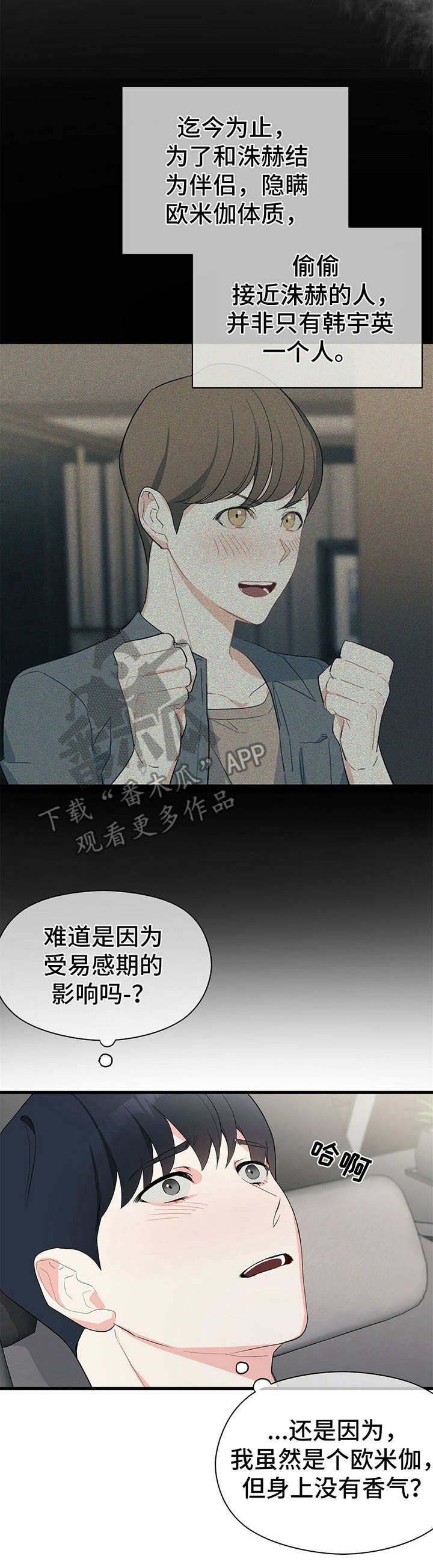 第14章：促进剂