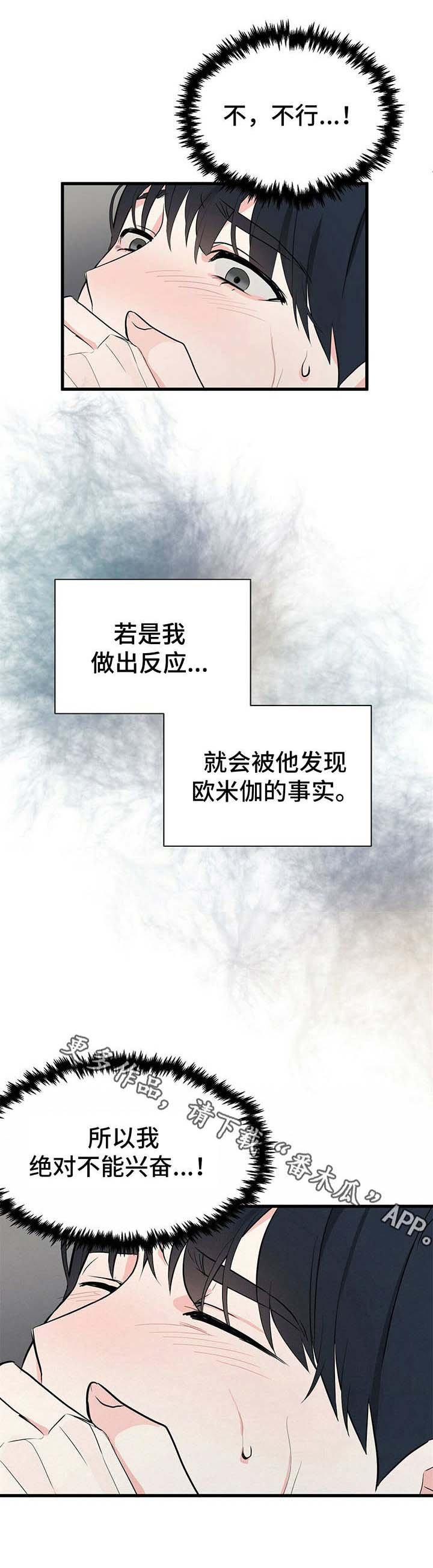 第14章：促进剂