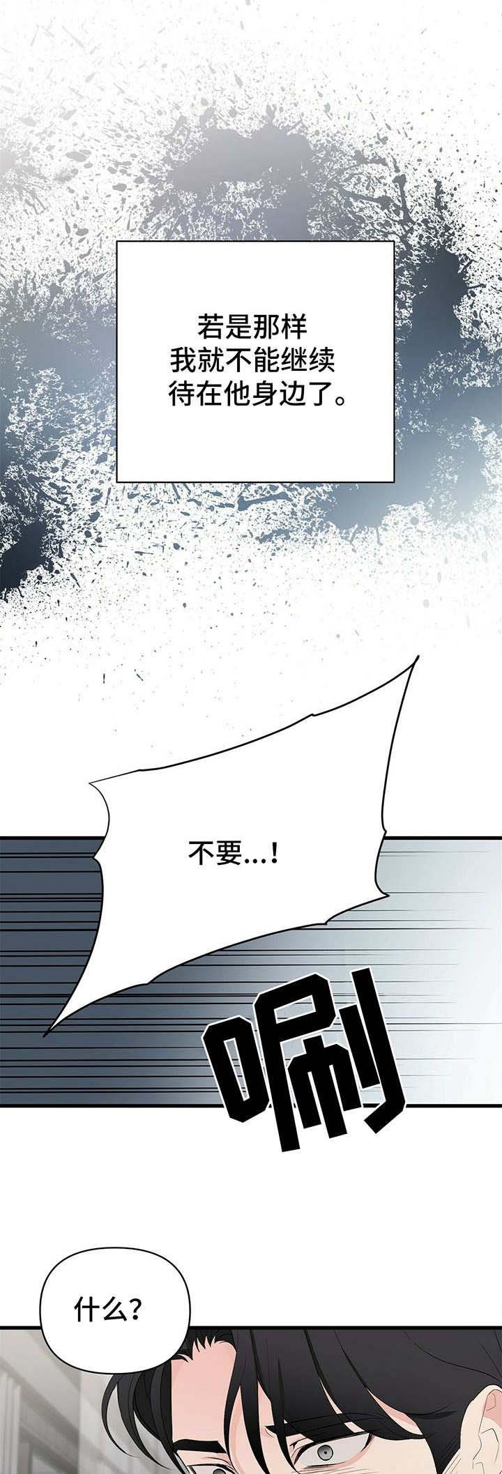 第14章：促进剂